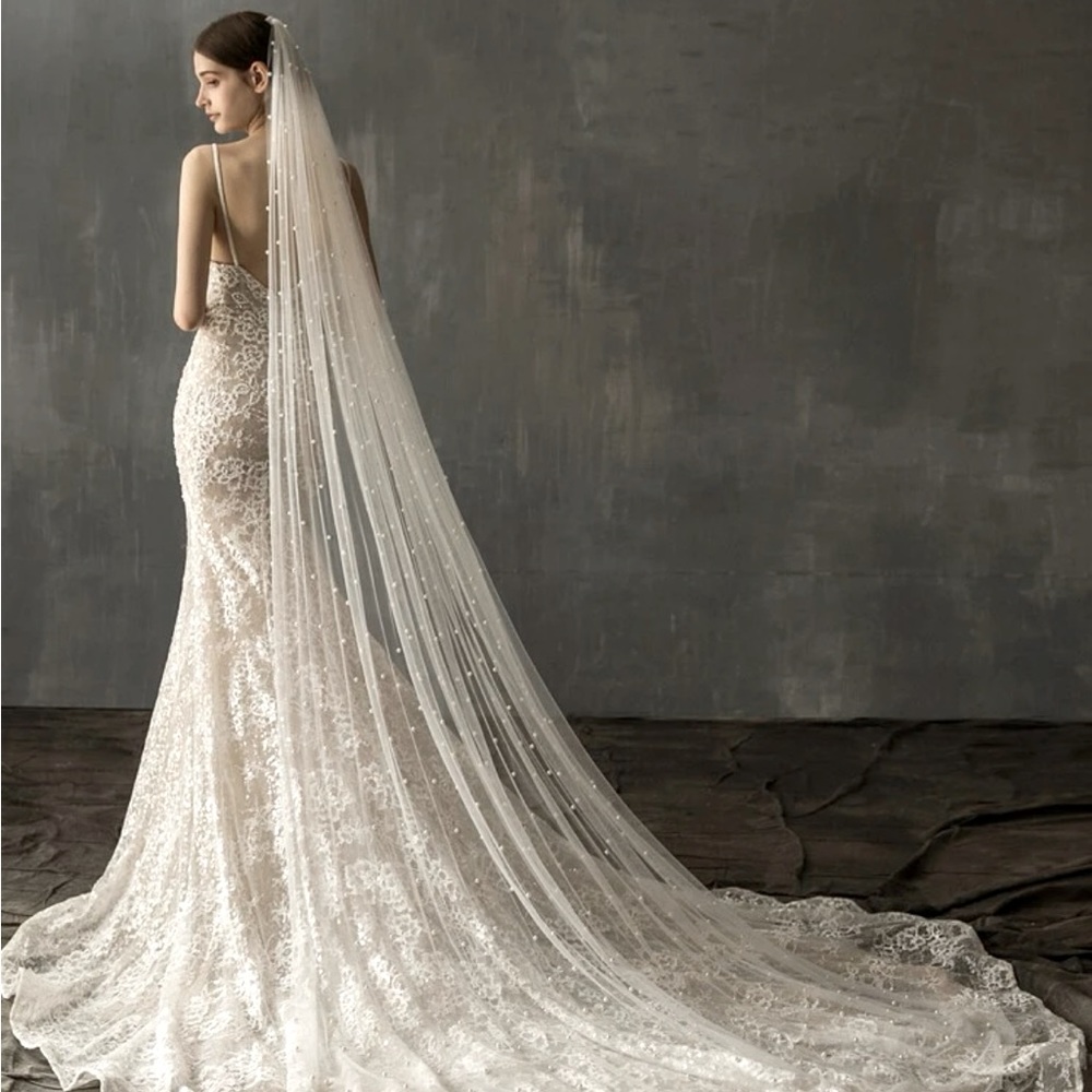 Super long cathedral veil